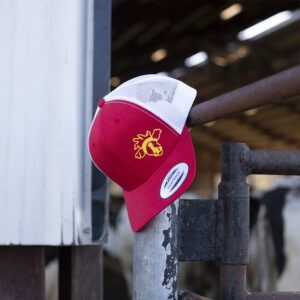 KC Cow Trucker Hat